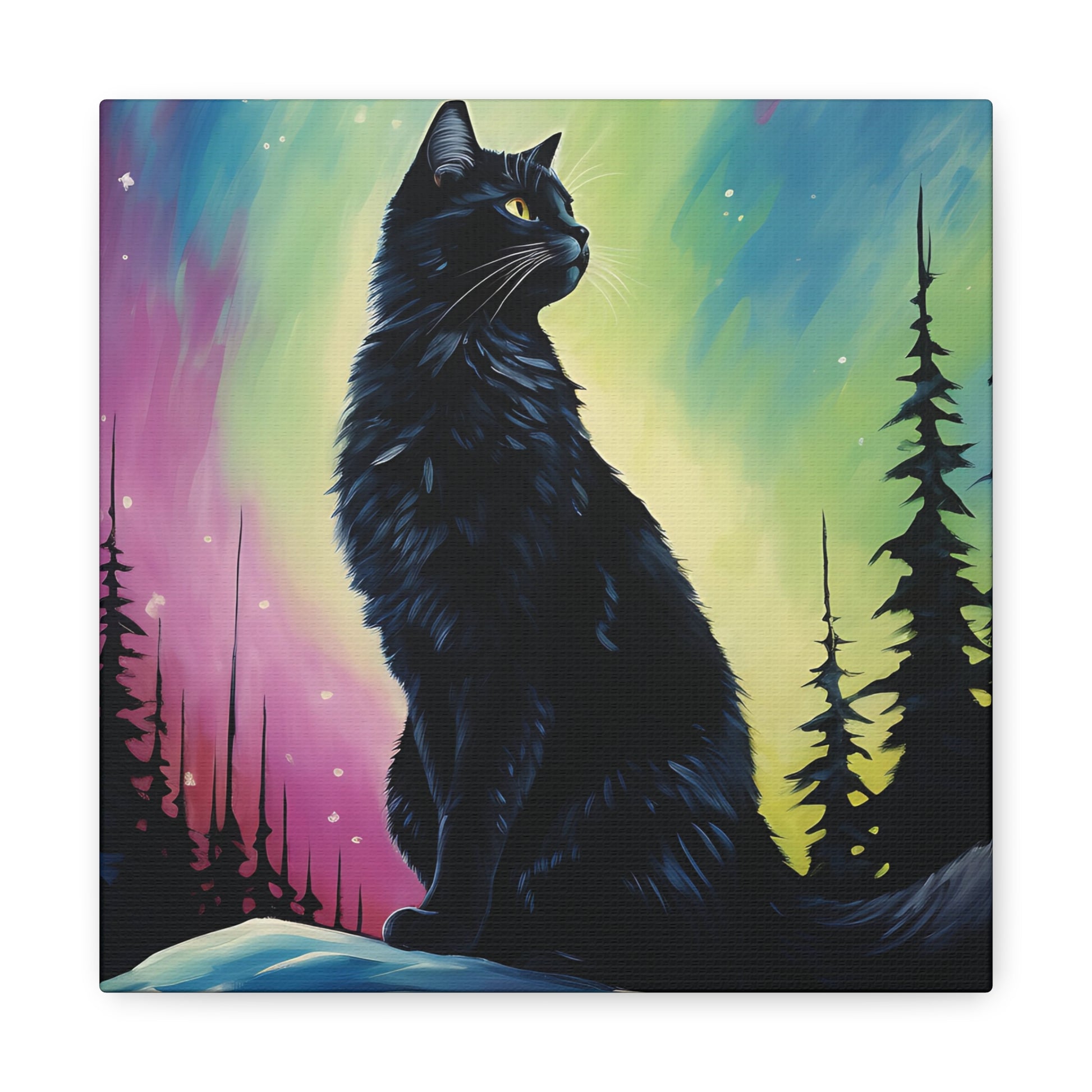 Aurora Cat Canvas Wall Art Square - Canvasses