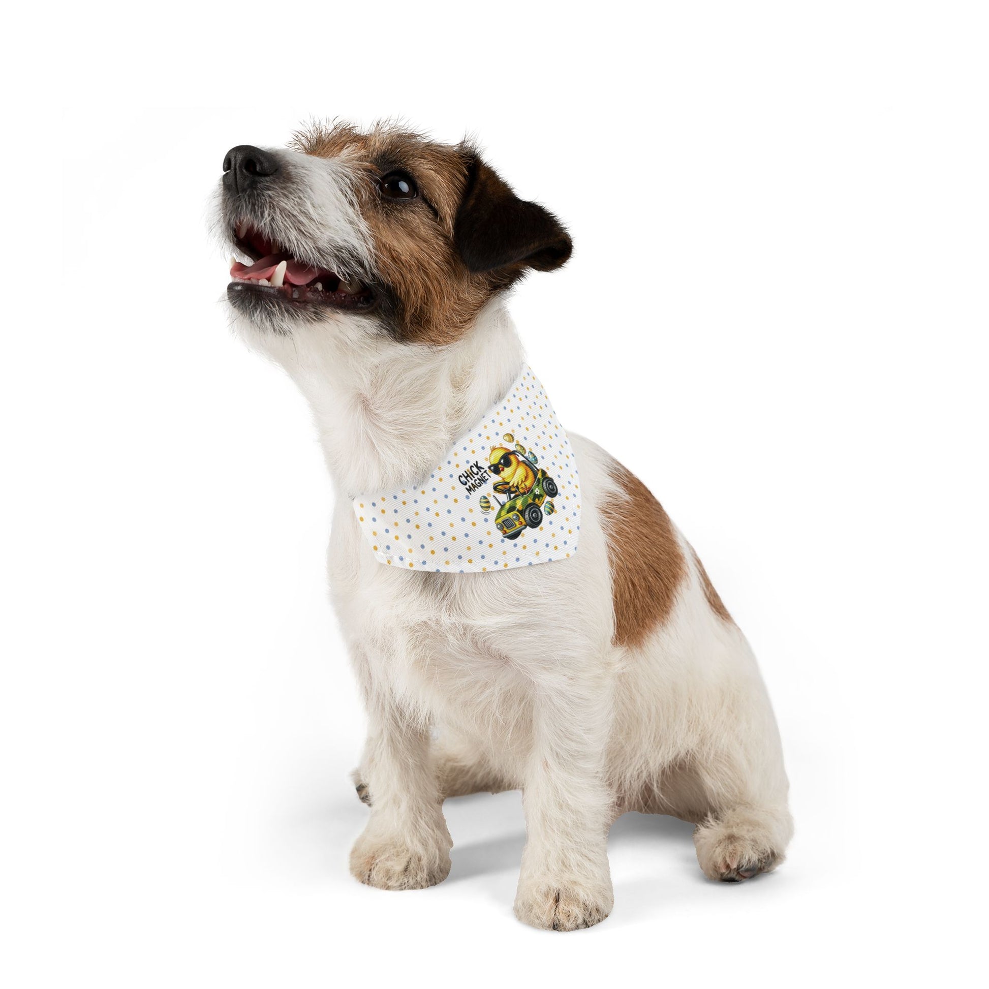 Chick Magnet Pet Bandana Collar - Canvasses