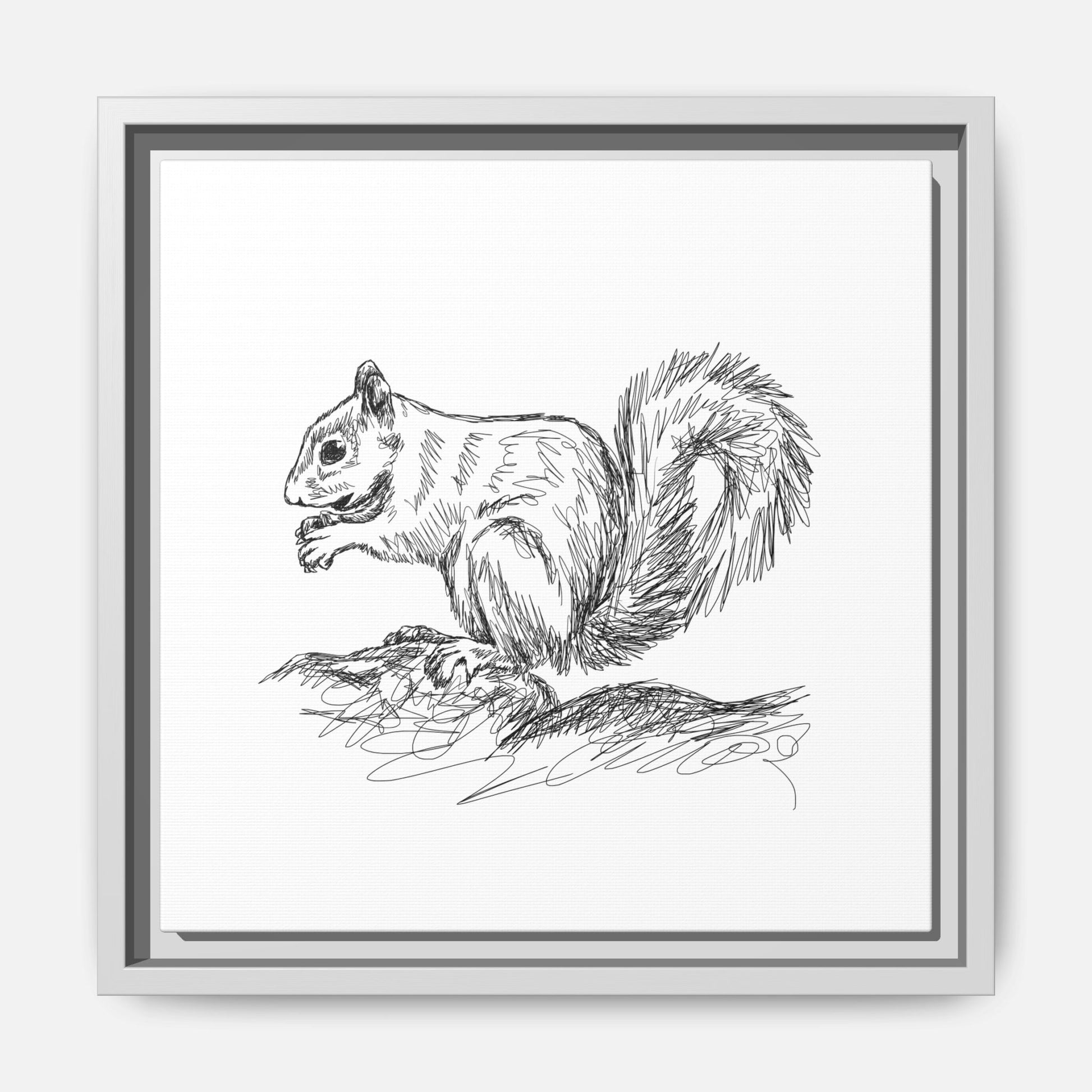 Squirrel Sketch Framed Canvas Wall Art Square - Canvasses