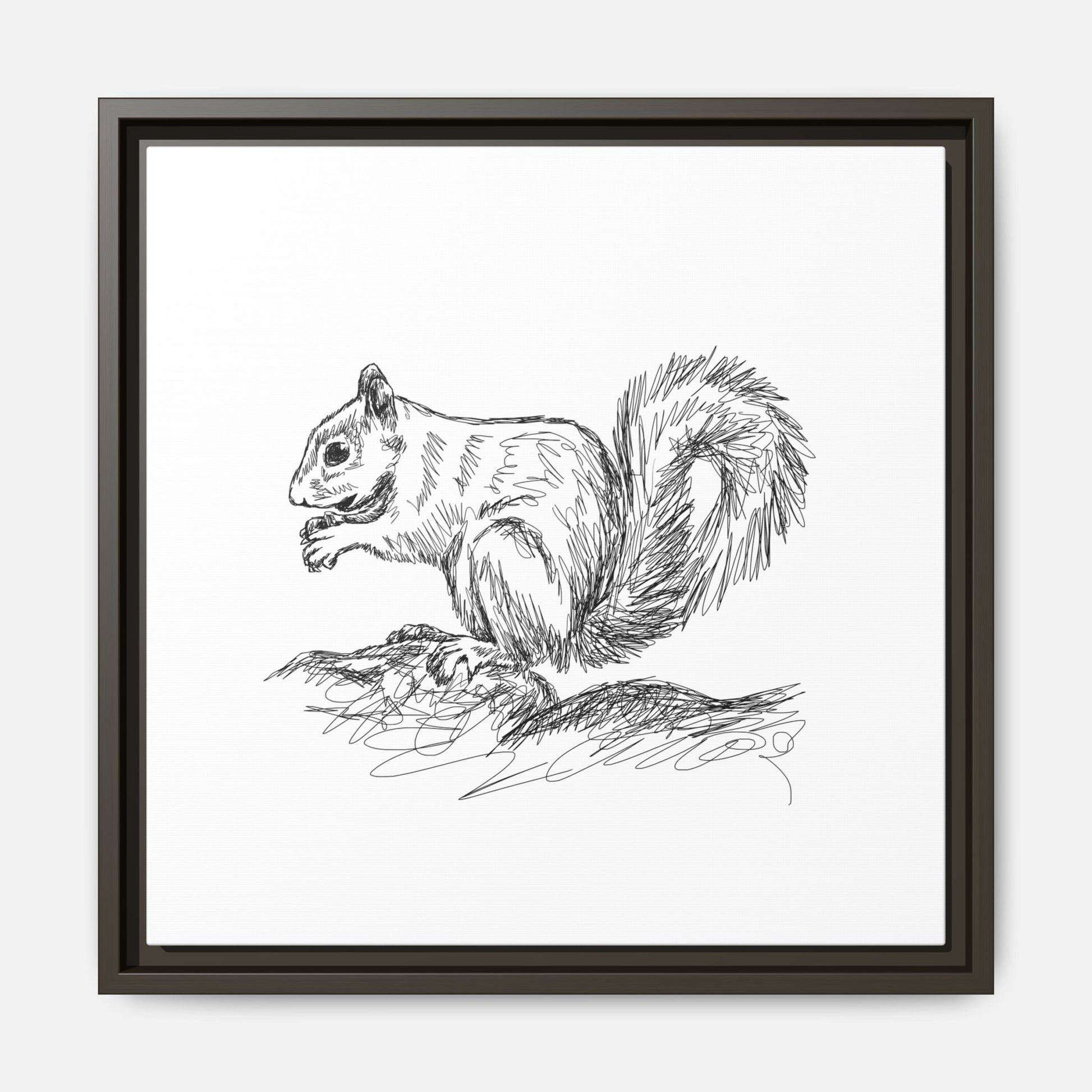 Squirrel Sketch Framed Canvas Wall Art Square - Canvasses