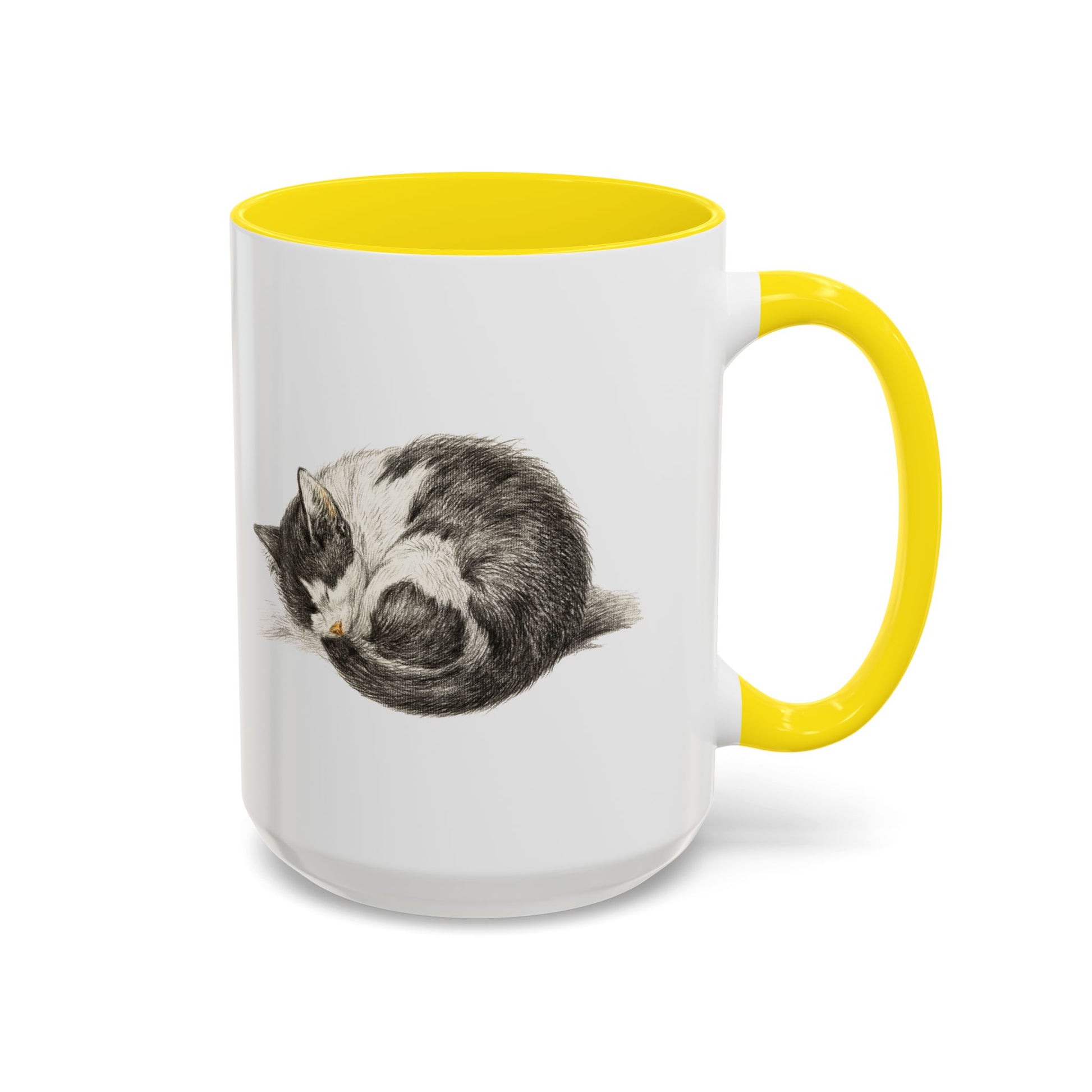 Furball Accent Mug - Canvasses