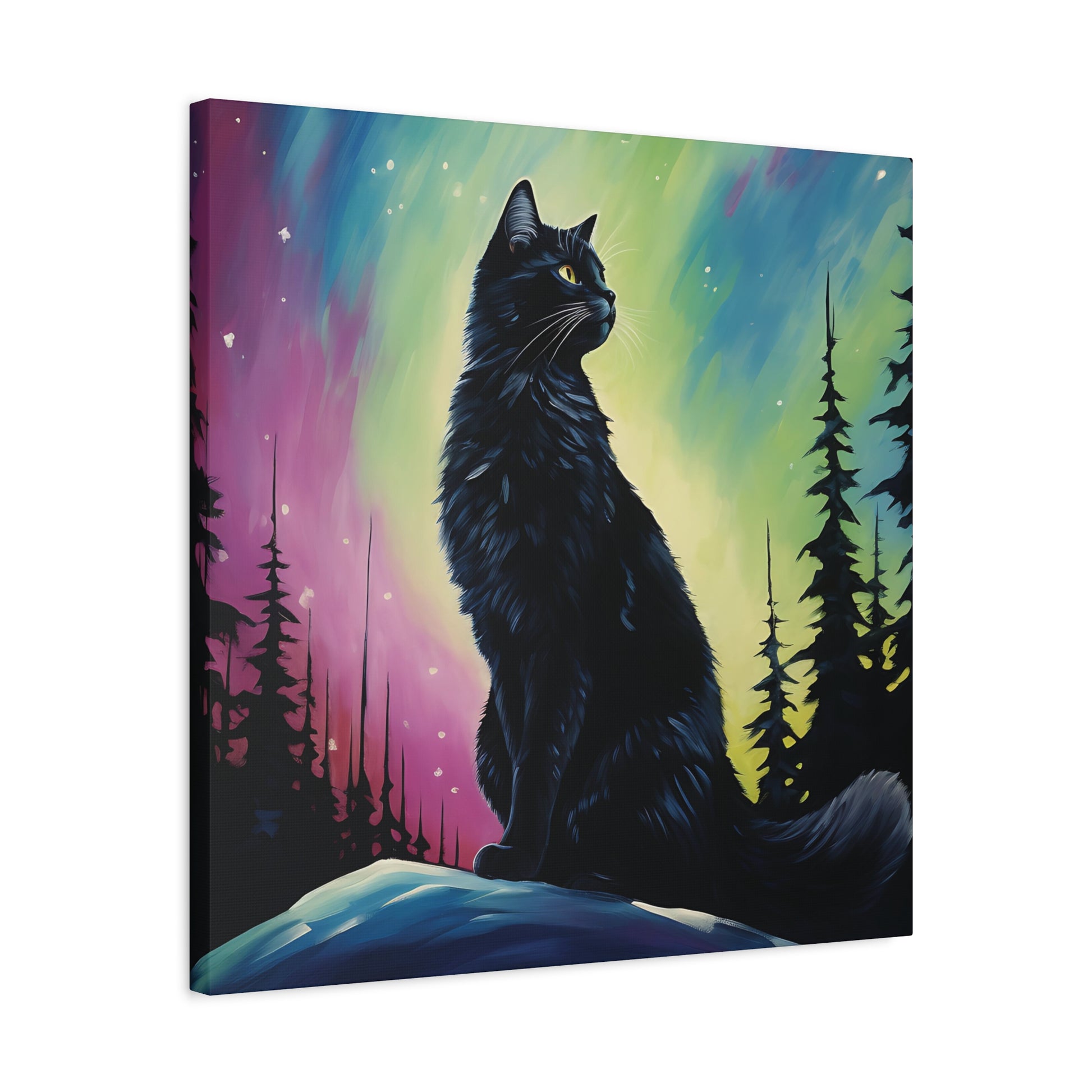 Aurora Cat Canvas Wall Art Square - Canvasses